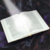 Torah Studies Class